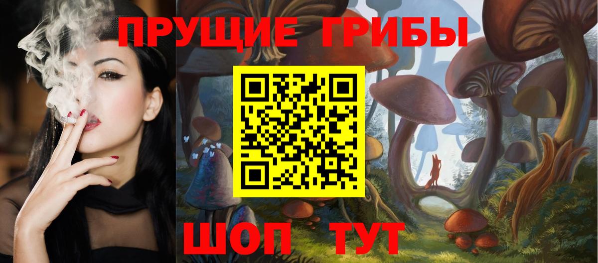 Псилоцибиновые грибы мицелий Корсаков