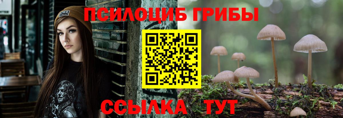 Корсаков  Псилоцибиновые грибы мицелий  Вход с VPN  Галлюциногенные грибы Cubensis 